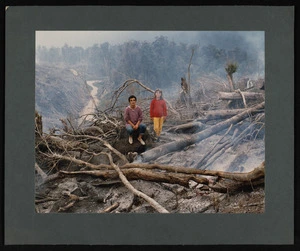 Christchurch Star :[Karamea forest ranger Norm Stopforth with young Pinus radiata]