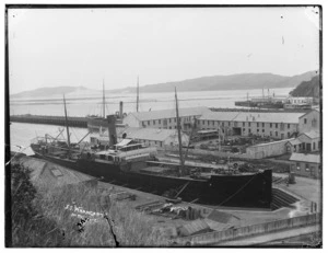 SS Whangape in Port Chalmers dry dock.
