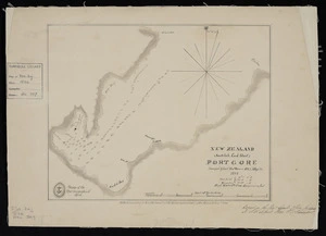 Port Gore / surveyed by Lieut. Thos. Woore, H.M.S. Alligator.
