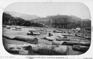 Logs alongside the Cornwallis sawmills