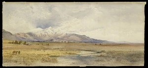 Hodgkins, William Mathew, 1833-1898 :Near Peel Forest, South Canterbury. 1882