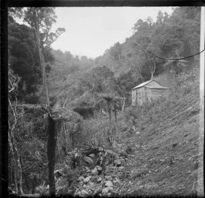 An unidentified woman standing in the doorway of a wooden hut amongst native forest, [Nichols Creek, Leith Valley?], Dunedin