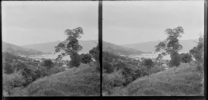 View from a hill overlooking houses and harbour, Akaroa, Banks Peninsula