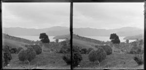 A view across farmland towards Akaroa Harbour, Banks Peninsula