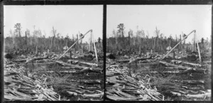 Timber mill, location unidentified