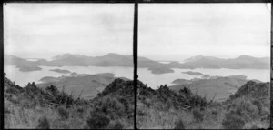 A view of Port Chalmers and Otago Harbour, from a hill