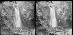 Waterfall, Nichols Creek, Leith Valley, Dunedin