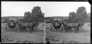 Unidentified women in horse drawn carriage, Dunedin area, Otago Region