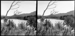 Catlins River, Clutha District, Otago Region