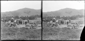 Unidentified group watching men fill sacks with unidentified farming product, Akaroa, Banks Peninsula District, Canterbury Region, including horse drawn carriage