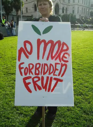 Photographs of an apple growers' demonstration, Wellington