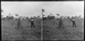 Unidentified man, making hay stacks, Catlins, Otago