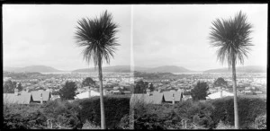 View of Dunedin from a garden in Kew, including cabbage tree