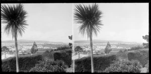 View of Dunedin city from a garden in Kew, including cabbage tree