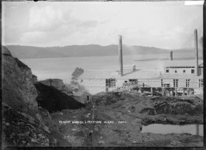 Cement works, Limestone Island, Whangarei Harbour