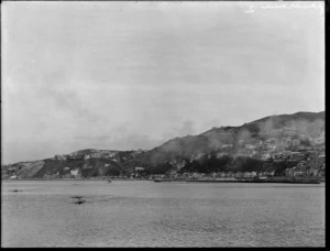 Wellington Harbour, showing rowers in Oriental Bay and houses on Roseneath hill