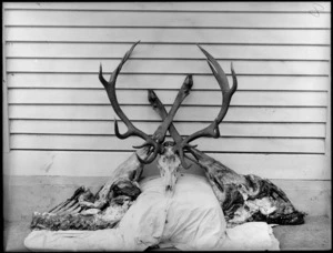 A deer skull with horns, hooves and carcass, propped aginst weatherboard siding