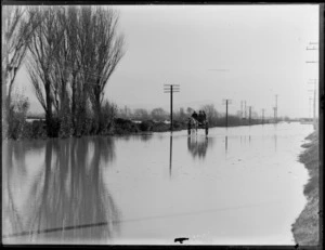 A flooded rural road, probably in the Canterbury region, including a horse drawn cart navigating the flood waters