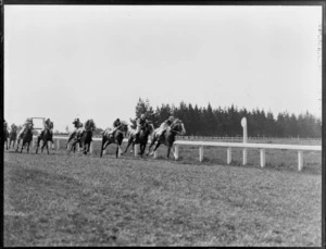 Horses racing at Riccarton Racecourse, Christchurch