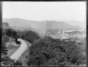 View of Dunedin, showing a narrow road winding through trees in foreground, houses in background including The New Zealand and South Seas International Exhibition building on horizon at right