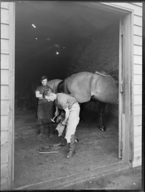 Blacksmith shoeing a horse with a younger man looking on, within a building with other horses behind