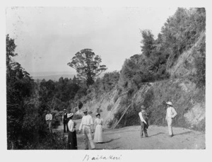 Group on a road in the Waitakere region