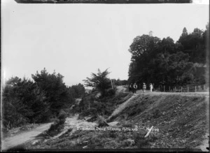 Exhibition Drive, Titirangi, Auckland