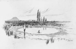 [Sturtevant, George Neville, 1858-1937] :Hot springs at Tokaanu [1890s?]