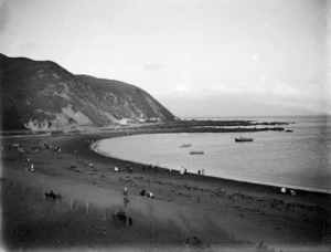 View of Island Bay Beach, Wellington