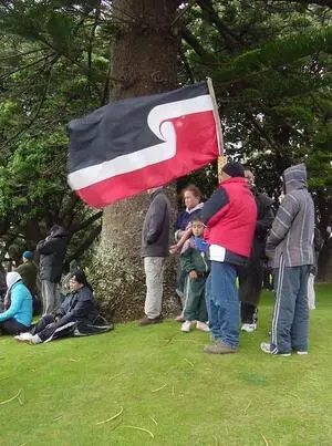 Participants in Foreshore and Seabed Hikoi, Parliament grounds, Wellington