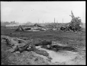 Land clearance, burning tree stumps, location unidentified