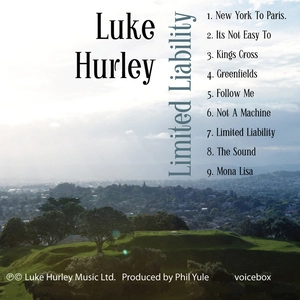 Limited liability [electronic resource] / Luke Hurley.