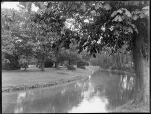 Avon River, Christchurch