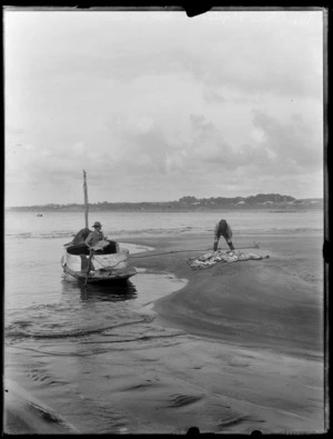 Men unload fish from their boat, probably Christchurch