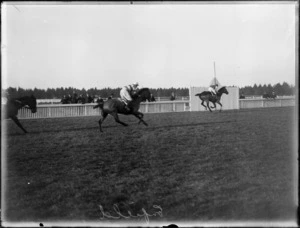 Horse Racing, Steeplechase Race, [Addington Racecourse?], horses at the finishing post