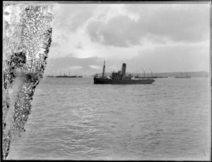 Tug boat, Auckland Harbour