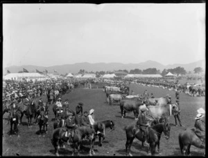 Canterbury A & P (Agricultural & Pastoral) Association parade, featuring horses and cattle