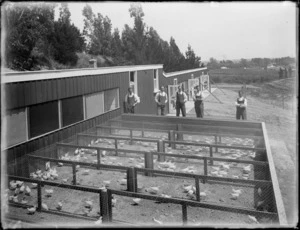 Poultry farm scene, five men standing alongside chicken runs with hens