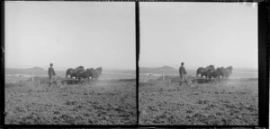 Unidentified man ploughing with three horses on stony ground beside the sea, Taieri area