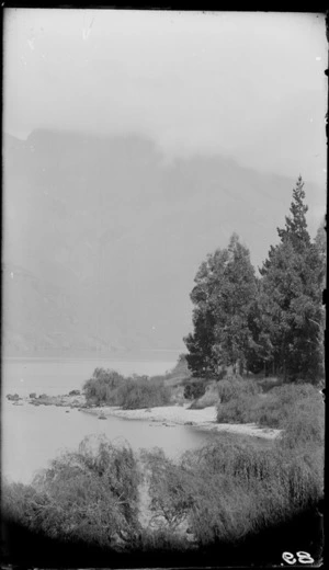 Lake shore, [Fiordland National Park, Southland District?]