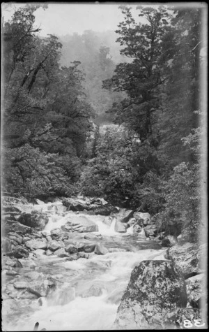 River [Fiordland National Park, Southland District?]