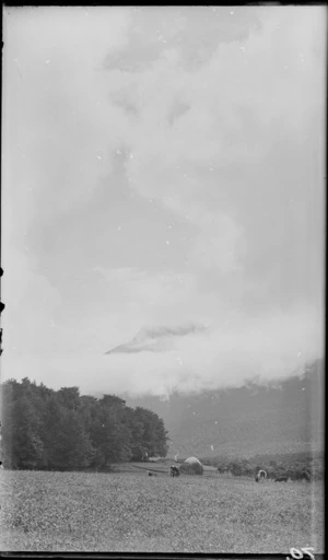 Cows and haystack in a field, including low cloud covering a mountain in distance, Queenstown