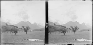 Paddock with a post and wire fence and stunted trees, Paradise, Queenstown Lakes District, with the Dart River in the distance and Mount Nox in centre