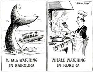 Tremain, Garrick, 1941- :Whale watching in Kaikoura. Otago Daily Times, 22 June 2005.