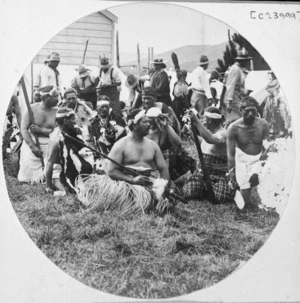 Ross, Malcolm, 1862-1930 :Warriors of Tuhoe land