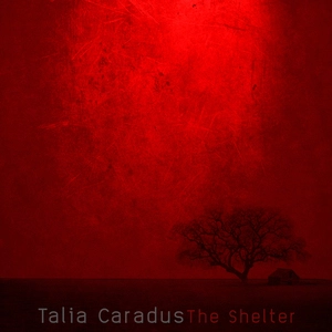 The Shelter [electronic resource] / Talia Caradus.