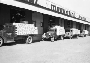 Trucks, laden with boxes of apples, arriving at the Internal Marketing Division Stores in Havelock North