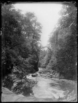 Glentui, Canterbury, looking down creek with trees on either side