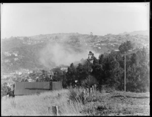 View of houses and trees with smoke or mist above, Dunedin