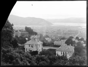 A view of Dunedin city and the harbour from behind houses